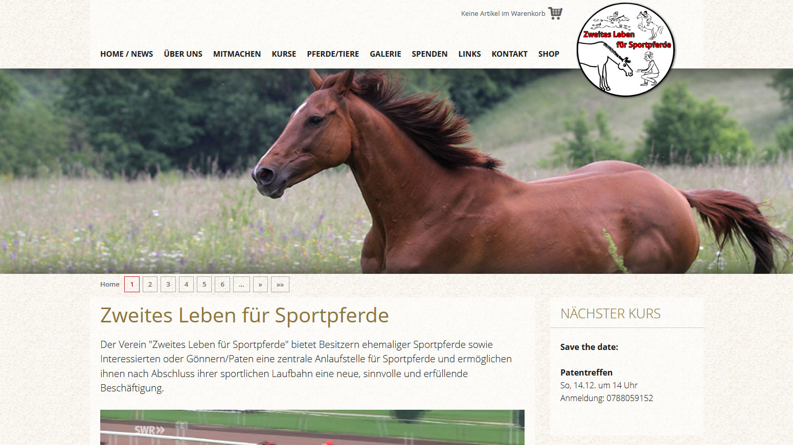 Zweites Leben für Sportpferde