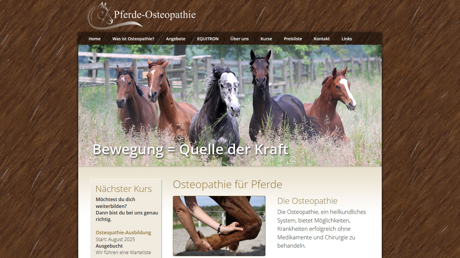 Osteopathie für Pferde